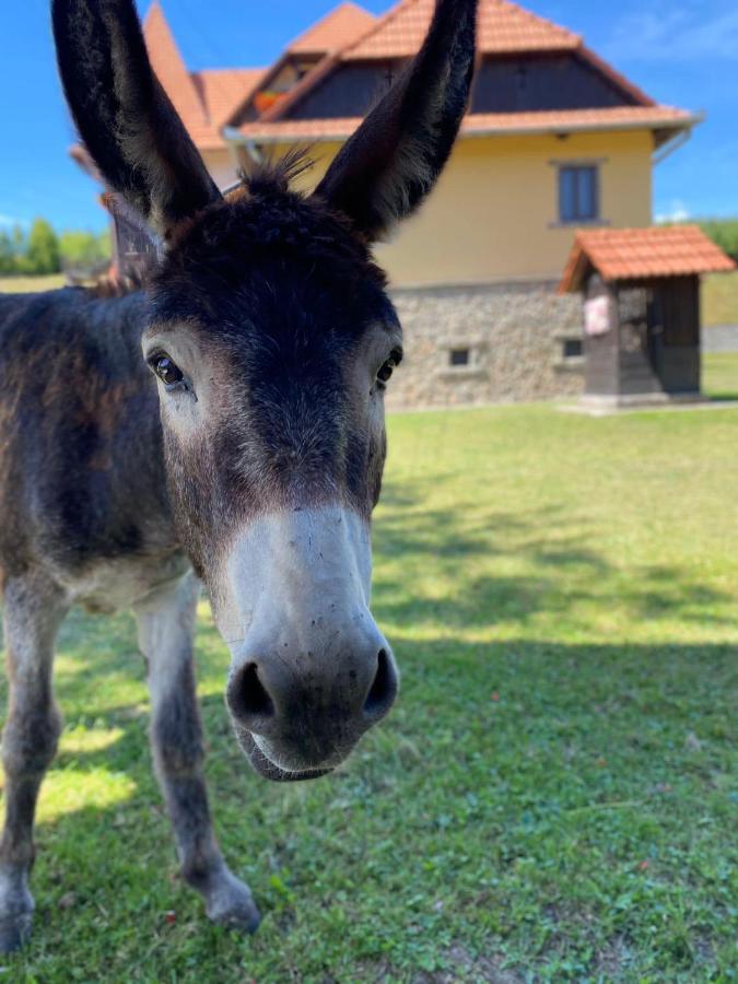Villa Gherman Sălciua de Jos Eksteriør billede